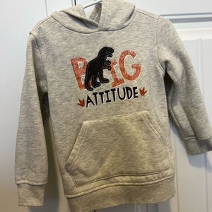 3T Grey Dinosaur Hoodie